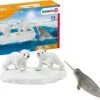 Schleich Wild Life 42531 Eisbären-Rutschpartie -Kinderspielzeugladen 16907396 01