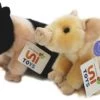 UNI-TOYS® Ferkel (2-teilig) - Je 20 Cm (Länge) - Plüsch-Schwein + Angler Sattelschwein - Plüschtiere Kuscheltiere -Kinderspielzeugladen 18837687 01