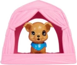 Barbie "Barbie Im Doppelpack! Camping" Spielset Mit Stacie Puppe Und Hündchen 11 Barbie "Barbie Im Doppelpack! Camping" Spielset Mit Stacie Puppe Und Hündchen -Kinderspielzeugladen 23157684 04