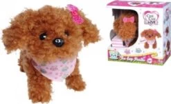 Chi Chi Love Tea Cup Poodle Puppy