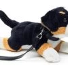 UNI-TOYS® Berner Sennenhund Plushie (mit Leine) - 21 Cm (Länge) - Plüsch-Hund - Plüschtier Kuscheltiere -Kinderspielzeugladen 25194730 01