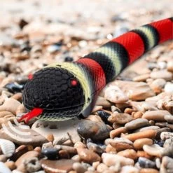 DISCOVERY RC Kingsnake -Kinderspielzeugladen 27040309 02