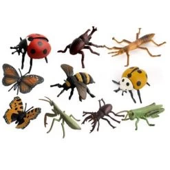 Wildes Tiermodell Insektenmodell